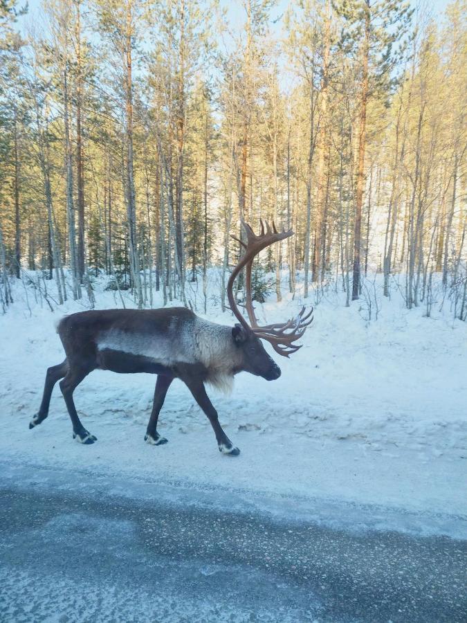 Yllaes Kanerva 105 Äkäslompolo Eksteriør billede